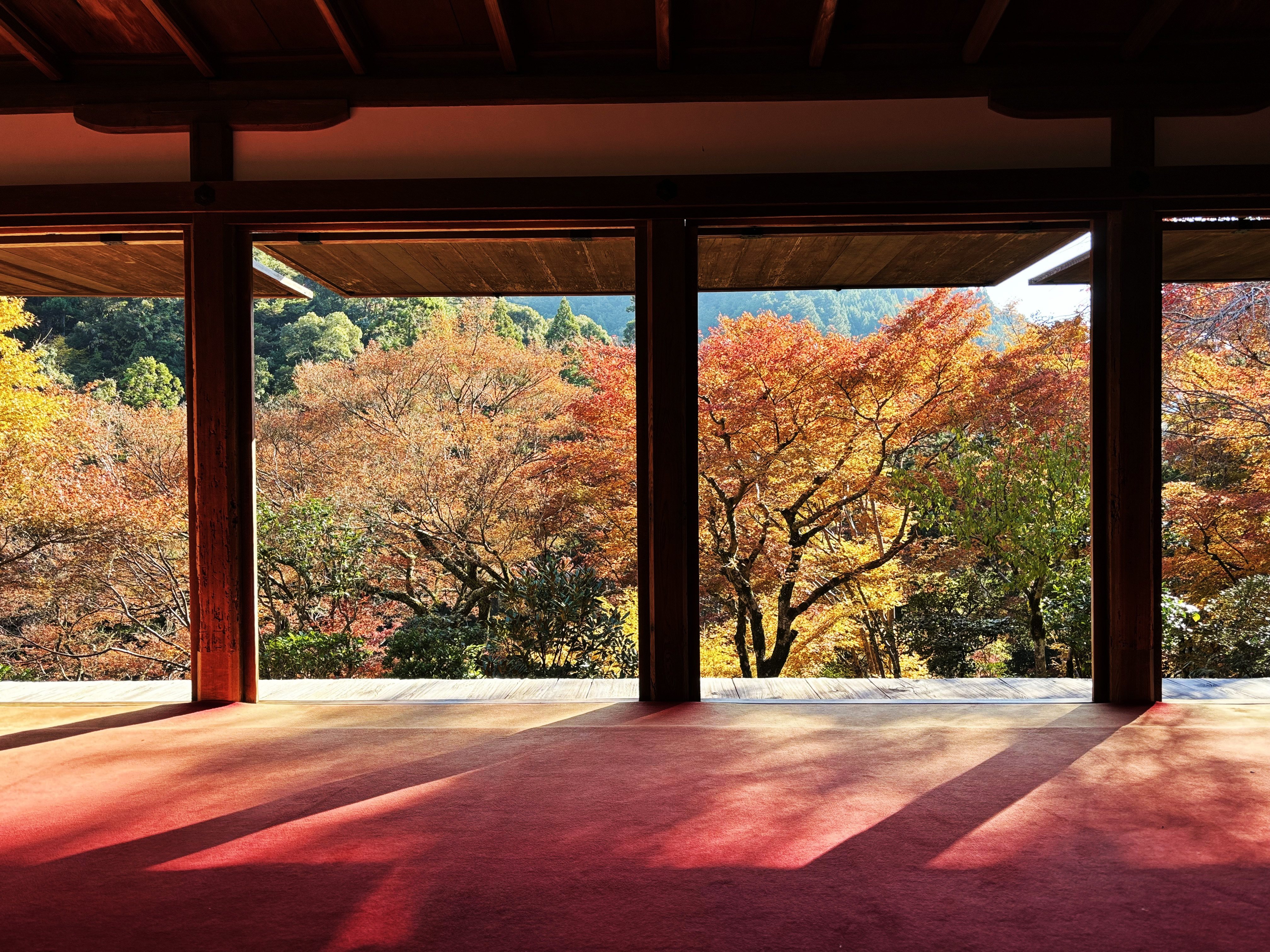 京都